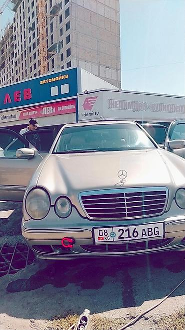 w210 дерево: Mercedes-Benz E-Class: 2001 г., 2 л, Автомат, Седан — 3