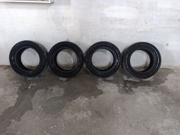 шина авто: Шины 225 / 55 / R 16, Зима, Б/у, Комплект, Легковые, Goform