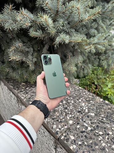 Apple iPhone: IPhone 13 Pro Max, Б/у, 128 ГБ, Зеленый, Зарядное устройство, Защитное стекло, Чехол, В рассрочку, 88 %