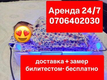 аренда лампа для лечения желтухи новорожденных: Фотолампа в аренду!!!! Фотолампа для лечения желтушки у детей!