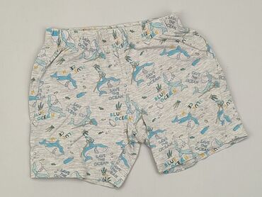 Shorts, Little kids, 3-4 years, 98/104, condition - Satisfying