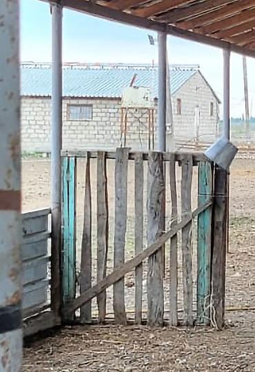 Torpaq sahələrinin satışı: 26000 sot, Kənd təsərrüfatı, Kupça (Çıxarış) — 18