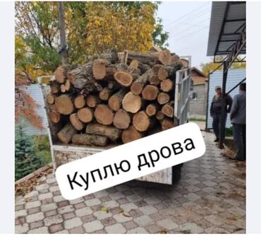 дрова цена: Дрова
