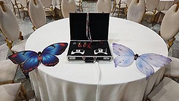 Игрушечный транспорт: LDARC RC kəpənək dron dəsti - Biomimetik uçuş sistemi: Kəpənək — 5