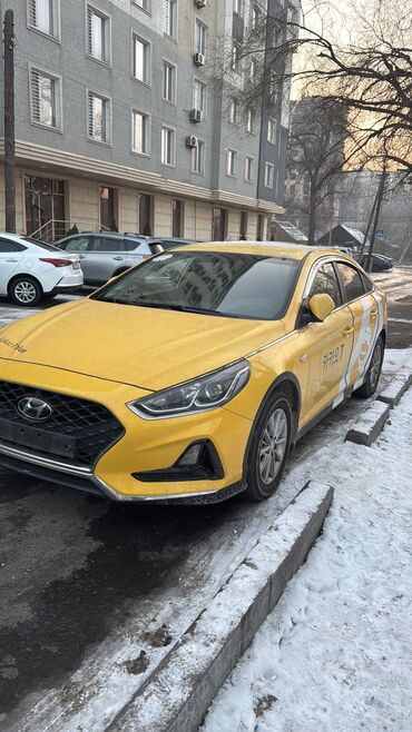 водитель, бишкек свежие вакансии: Hyundai Sonata: 2019 г., 2 л, Автомат, Газ, Седан