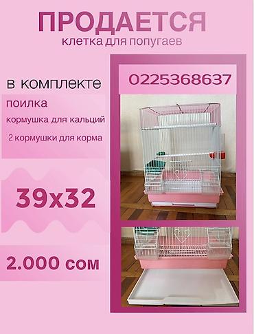 Животные: Клетки для попугаев Зеленая: - Размер: 31×28 см - Комплектация — 2