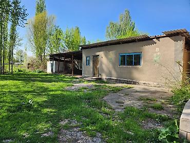 Продажа коттеджей и домов: Продаю участок (с домом, возможно под снос) 20лет никто не жил и есть — 9