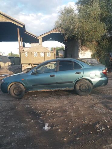 Nissan: Nissan Almera: 2003 г., 1.5 л, Механика, Бензин, Седан