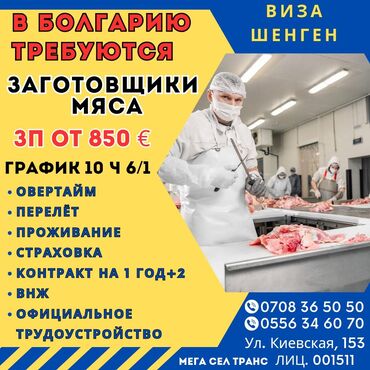 кофта на 2 года: Работа - Болгария, Отели, кафе, рестораны, 1-2 года опыта, Форма