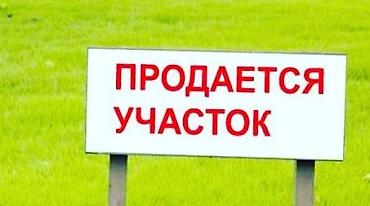 3 соток, Для бизнеса, Красная книга