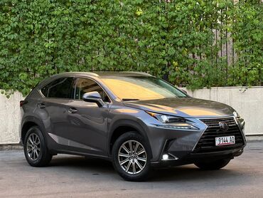 nissan nx 100: Lexus NX: 2018 г., 2 л, Автомат, Бензин