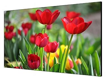 Monitorlar: Video-divar üçün displey "Hikvision DS-D2046LU-Y"Hikvision — 1