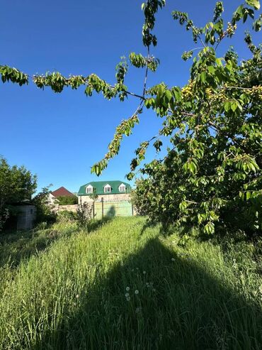 кочкор ата участок: 8 соток, Курулуш, Техпаспорт