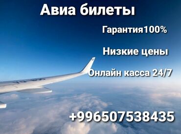 сиамская кошка цена бишкек: Авиабилеты по всем направлениям ✈Надежно и удобно ✈онлайн покупка