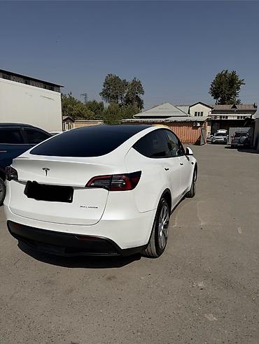 Tesla: Tesla Model Y: 2021 г., Электромобиль, Кроссовер — 5
