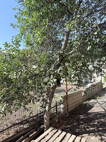 Продажа коттеджей и домов: 5 комнат, 76 м², 5 соток, Бишкек, Аламедин-1 мкр Собственник at lalafo.kg — 15 Продажа коттеджей и домов: 5 комнат, 76 м², 5 соток, Бишкек, Аламедин-1 мкр Собственник — 15