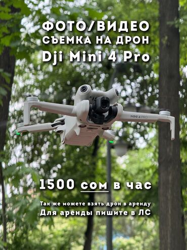 аренда фото: DJI mini 4 pro fly more combo plus в аренду. Стоимость аренды 1500