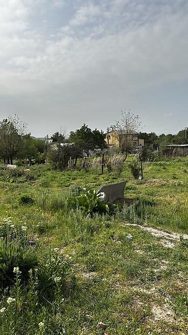 кок талаа: 9 соток, Курулуш, Кызыл китеп, Сатып алуу-сатуу келишими, Техпаспорт — 6