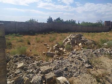 Torpaq: 12 sot, Kupça (Çıxarış) — 1