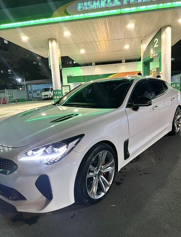 купить спортивную машину: Спортивный седан Kia Stinger в белом цвете кузова. Автомобиль оснащен