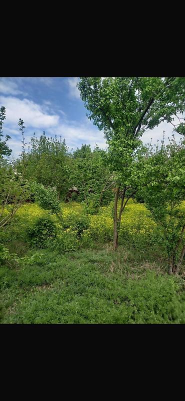 Torpaq sahələrinin satışı: 8 sot, Tikinti, Mülkiyyətçi, Kupça (Çıxarış) — 12