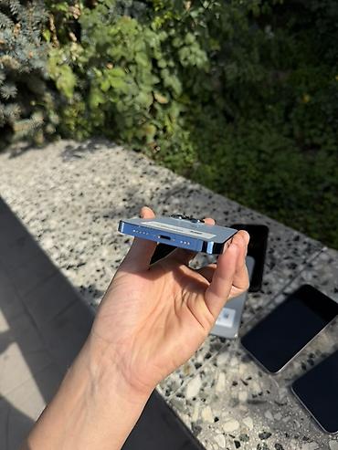 Apple iPhone: IPhone 13 Pro, цвет Sierra Blue - Память: 256 ГБ (указано на стикере) — 6