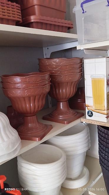 dibçək güllər: Bitkiləriniz üçün plastik dibçəklər – müxtəlif ölçü və modellər - — 5