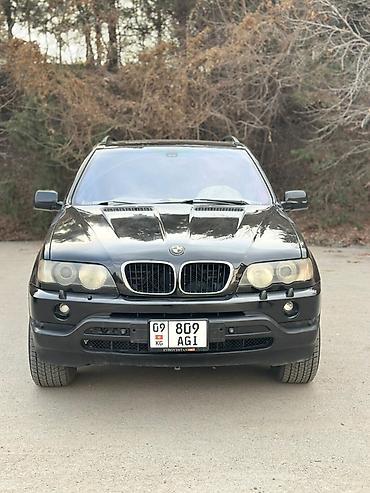 BMW: BMW X5: 2002 г., 3 л, Автомат, Дизель, Кроссовер — 7
