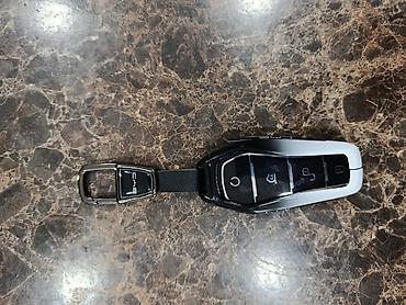 BYD avtomobili üçün çoxfunksiyalı uzaqdan idarəetmə açarı və brelok