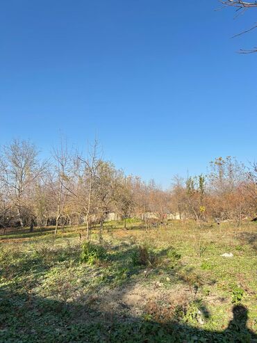 Torpaq sahələrinin satışı: 18 sot, Tikinti, Kupça (Çıxarış) — 12