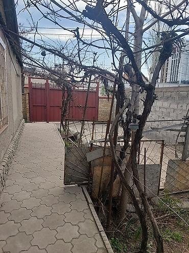 Долгосрочная аренда домов: 90 м², 2 комнаты — 13