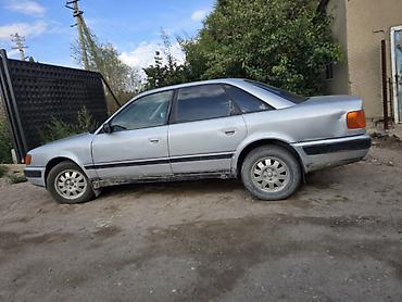 боз белер: Audi 100: 1991 г., 2.3 л, Кол менен иштөөчү, Бензин, Седан — 3
