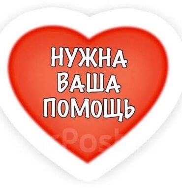 холодный кошелек купить бишкек: Приму в дар вещи детский и
 женский 🥺