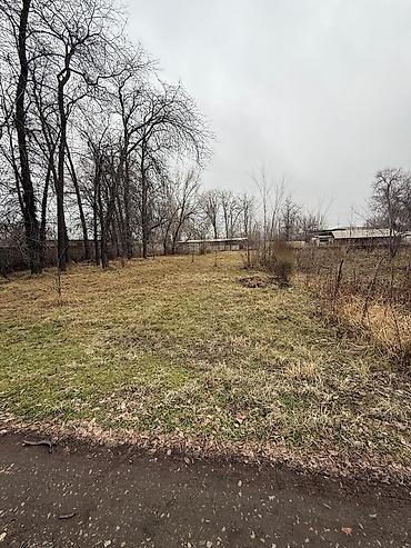 Продажа участков: 40 соток, Для бизнеса, Красная книга — 1