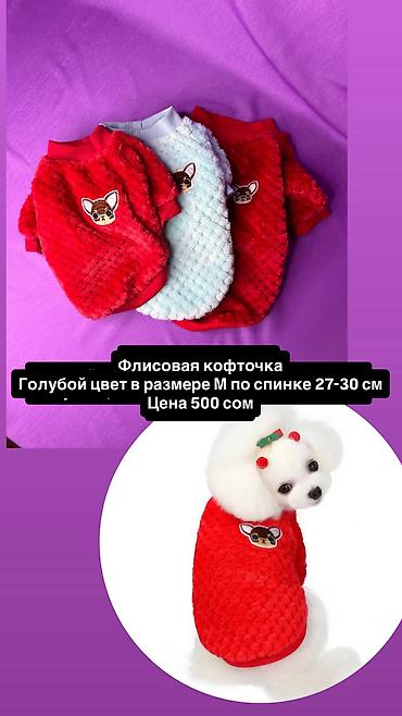 Зоотовары: Одежда для кошек и собак. Все НОВОЕ РАЗМЕР И ЦЕНА УКАЗАНЫ НА ФОТО — 4