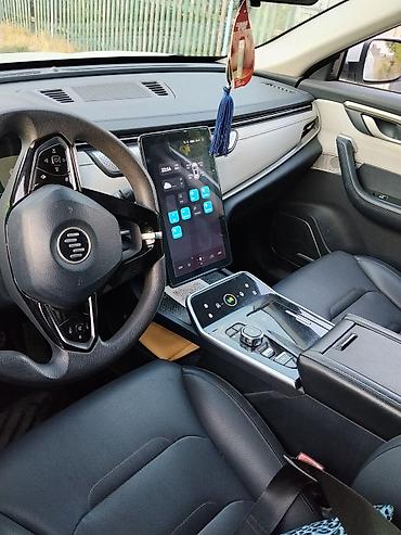 byd e1: Weltmeister EX5, 2019 г., 68000 км, Передний — 5