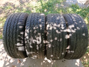 ретиноевая мазь цена бишкек: Шиналар 285 / 60 / R 18, Жай, Колдонулган, Комплект, Жол тандабастар (АТ/МТ), Корея, Nexen