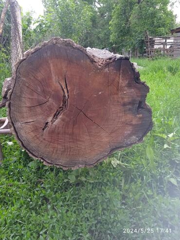 дрова для печки: Дрова Тополь, Самовывоз