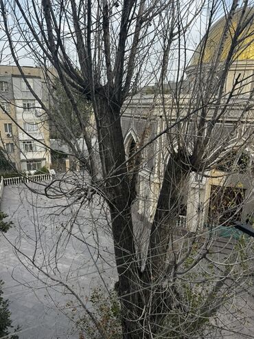 квартира берилет бир комната: 1 комната, 35 м², 105 серия, 4 этаж, Косметический ремонт