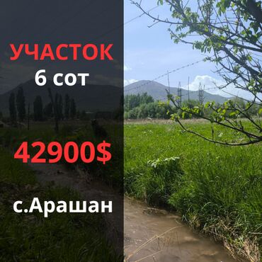 участок вайеный антоновка: 6 соток, Красная книга