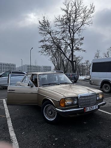 Mercedes-Benz: Mercedes-Benz W123: 1981 г., 2.8 л, Механика, Седан — 5