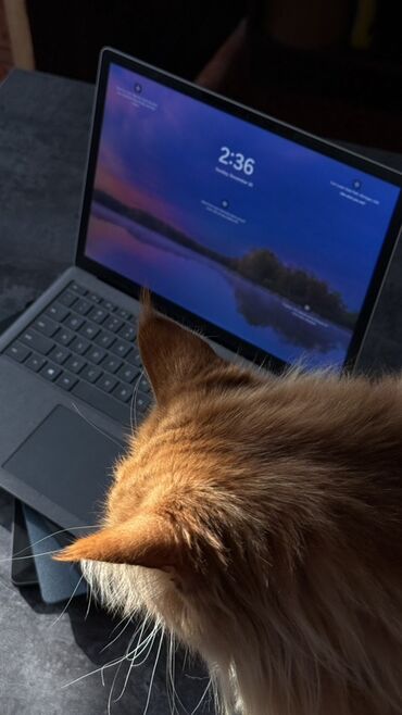 Ноутбуки: Ноутбук, Microsoft Surface, 16 ГБ ОЗУ, Intel Core i7, Для работы, учебы, память SSD — 2