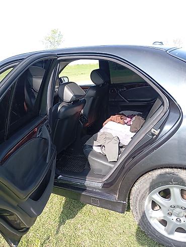 выхлоп w210: Mercedes-Benz E-Class: 2000 г., Седан — 7