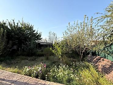 петровка кыргызстан: 5 соток — 2