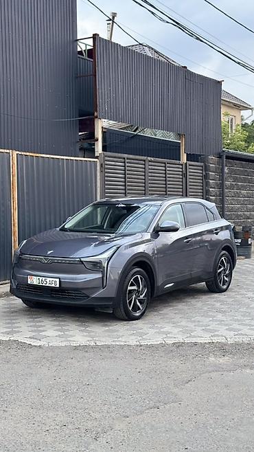 Hozon: Hozon Neta U: 2022 г., 0.1 л, Автомат, Электромобиль, Кроссовер — 5