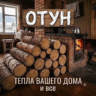 Дрова