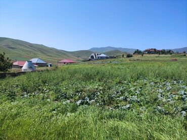 Torpaq sahələrinin satışı: 20 sot, Biznes üçün, Mülkiyyətçi, Kupça (Çıxarış)