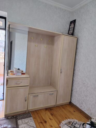 шифоньер: Шкаф в прихожей