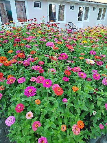 Иссык-Куль 2026: Номер, НЕПТУН Парковка, стоянка, Футбольное поле, Охраняемая территория — 2