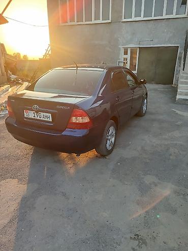 Toyota Corolla: 2004 г., 1.6 л, Бензин, Седан — 2
